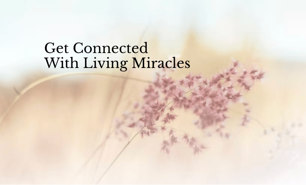 Connect